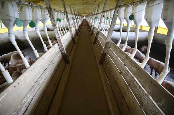 Medida amplia em 30% a capacidade de alojamentos