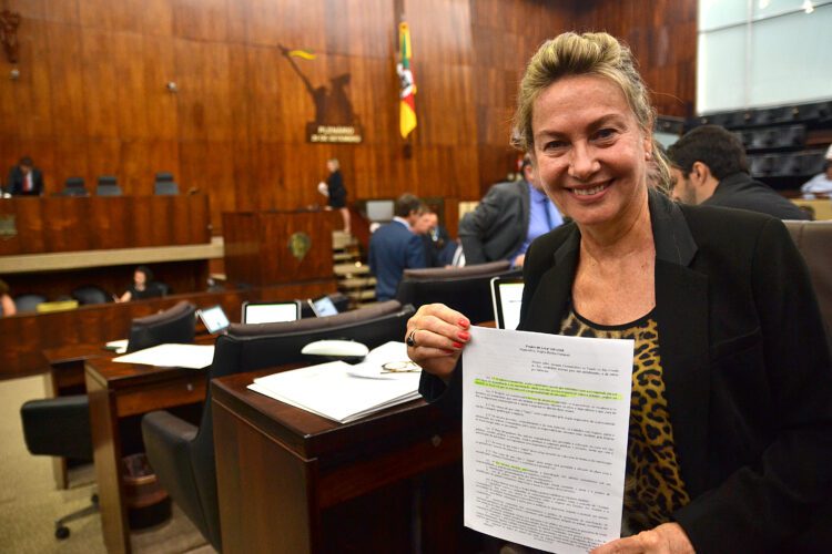 Aprovado projeto que protege animais comunitários do Estado