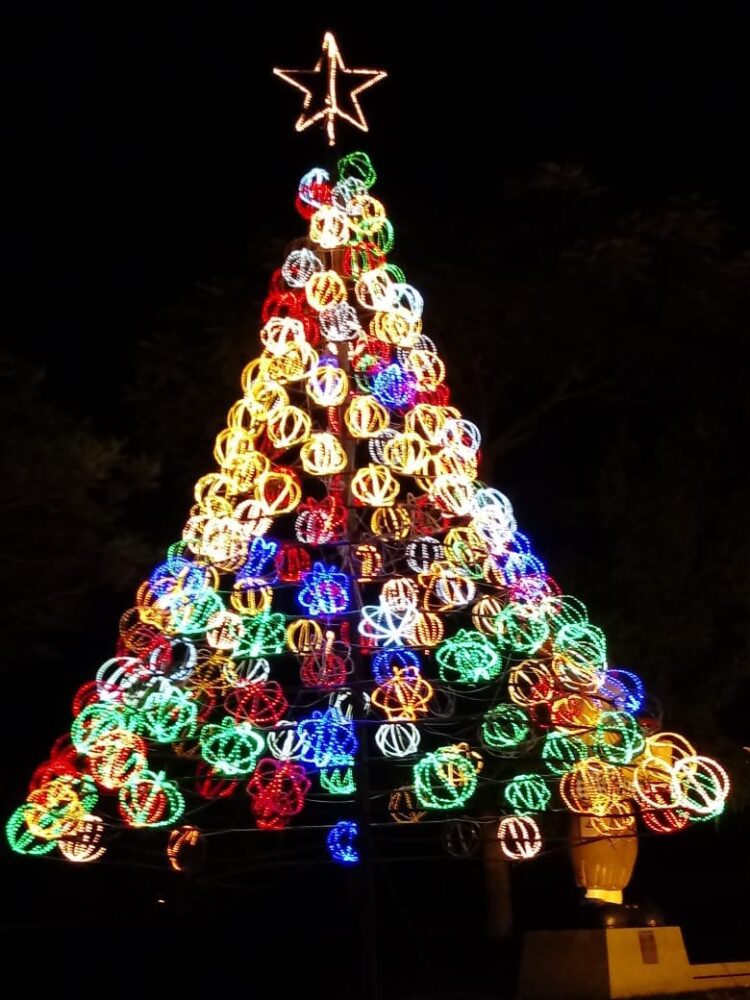 Estrela se enfeita para celebrar o Natal