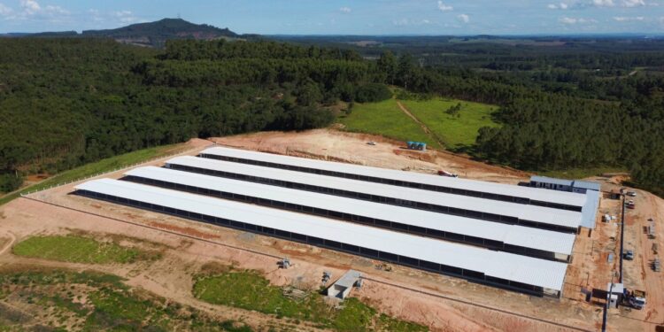 Taquari: Pelo segundo mês consecutivo, município tem saldo positivo na geração de empregos
