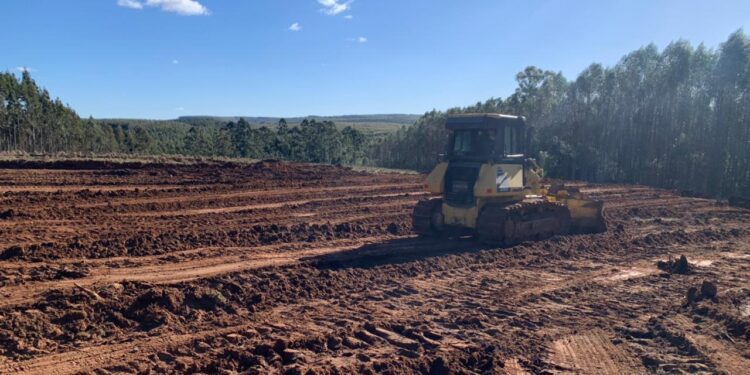 Terraplanagem para mais uma aviário no município é iniciado