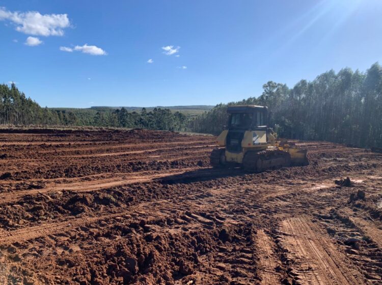 Terraplanagem para mais uma aviário no município é iniciado