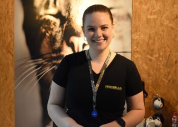 Oportunidades através de “Balcão de Qualificação” 