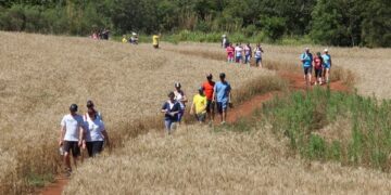 Caminhada Ecológica revela belezas do interior
