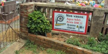 Encontrados novos focos do mosquito Aedes aegypti em Paverama