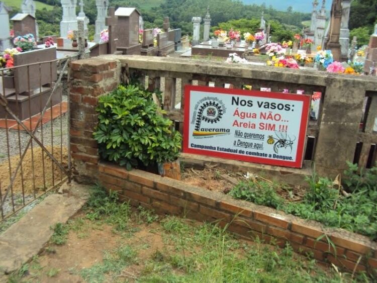 Encontrados novos focos do mosquito Aedes aegypti em Paverama