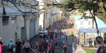 Domingo será dia de passear com os cães de estimação