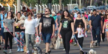 Cãominhada de Estrela supera expectativas