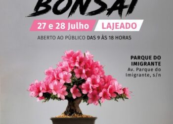 Prefeitura de Lajeado apoia exposição do encontro Bonsai Gaúcho 2019