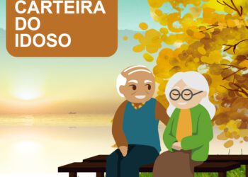 Idosos podem solicitar carteira para viagens interestaduais gratuitas