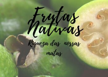 Secretaria do Meio Ambiente lança cartilha sobre frutas nativas