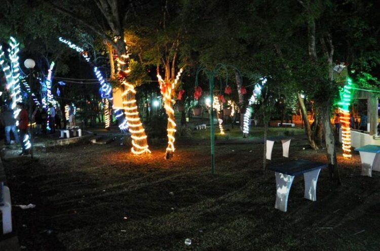 Em clima de Natal, Município lança projeto “Adote uma árvore 2019”