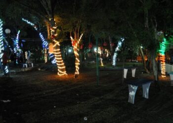 Em clima de Natal, município lança projeto “Adote uma árvore 2018”