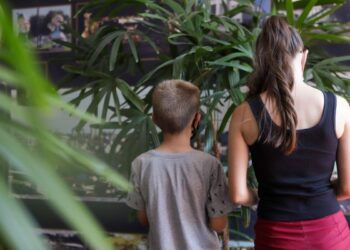 Recadastramento e inscrições de novas entidades no Condica e CMI