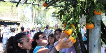 Férias de Inverno convida para oficina de costura e Sarau no Museu
