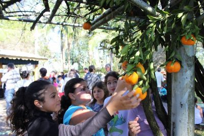 Bergamoteando na Praça reuniu amigos e conhecidos para degustar bergamotas, trocar abraços e sorrisos na Praça Flores da Cunha nessa quarta-feira (Foto: Maica Viviane Gebin) 
