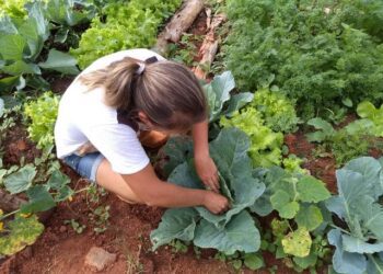 Encontro definirá participação de agricultores no programa PAA