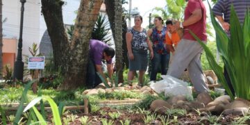 Curso ensina técnicas de jardinagem