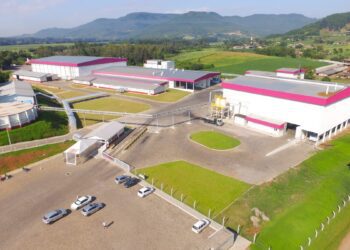 Dália Alimentos conquista licença para instalação de caldeira na unidade frigorífica de frangos