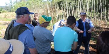 Demonstração de método em poda de frutíferas é realizada em Travesseiro