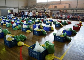 Programa de Aquisição de Alimentos completa um ano