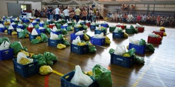 Programa de Aquisição de Alimentos completa um ano