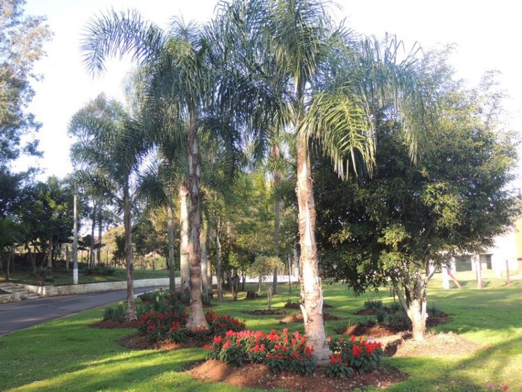 Parque Pôr do Sol recebe melhorias e embelezamento