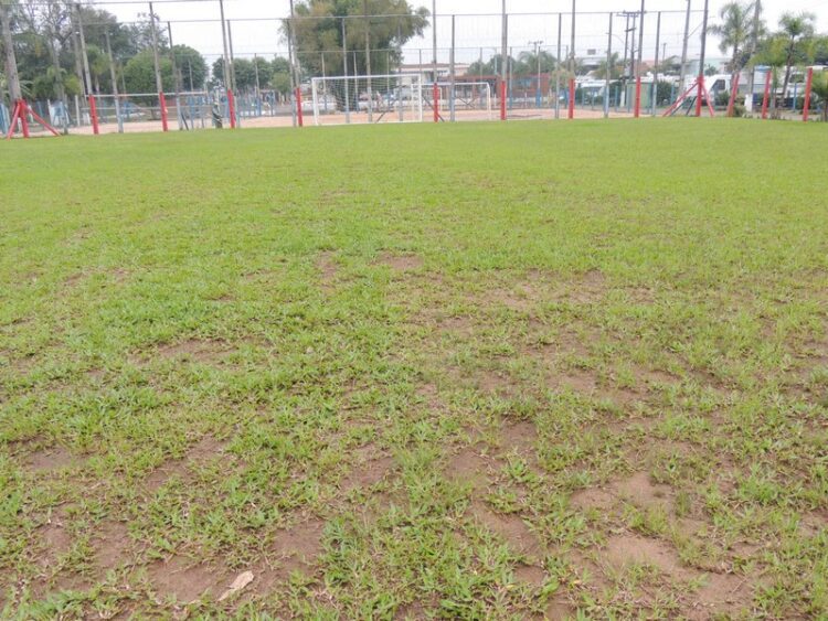 Gramado do campo de futebol do Parque Pôr do Sol recebe melhorias