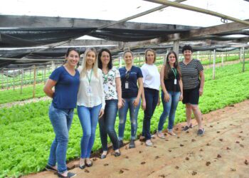 Conselho de Alimentação Escolar de Encantado é finalista em concurso nacional