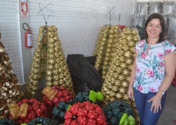 Projeto “Seus litros valem livros” enfeita Muçum para o Natal