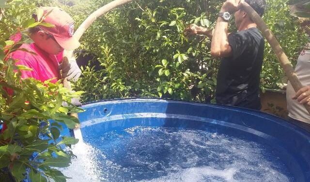 Administração busca medidas para minimizar efeitos da seca