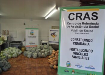 Cras recebe mais de 2 mil quilos de alimentos
