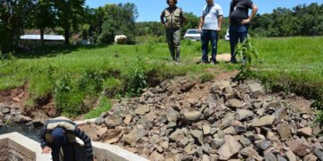 Vigilância volta a atacar borrachudos