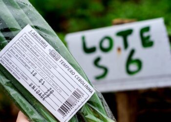 Etiquetas informam origem e boas práticas de associados da Languiru no cultivo de hortifrutigranjeiros