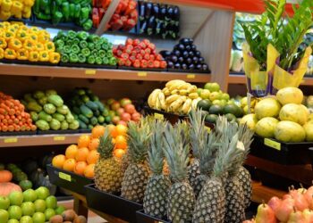 Languiru prepara terreno para produção própria de orgânicos