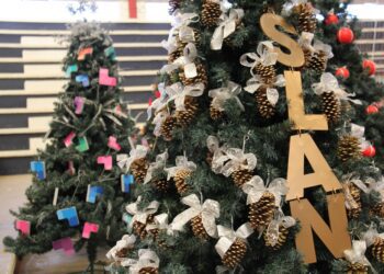 Árvores natalinas adotadas por entidades de Lajeado estão sendo decoradas