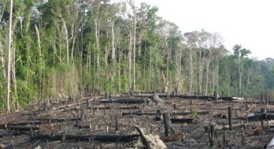 desmatamento-da-floresta-amazonica-tambem-provoca-falta-de-agua-550x300