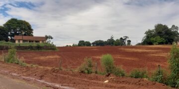 Município tenta reaver terras utilizadas sem autorização