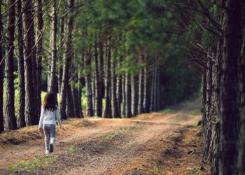 Inscrições para o 10º concurso fotográfico de Colinas seguem até dia 8