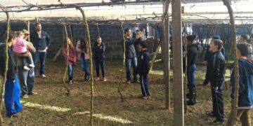 Alunos da Olavo Bilac visitam a Vinícola Paniz