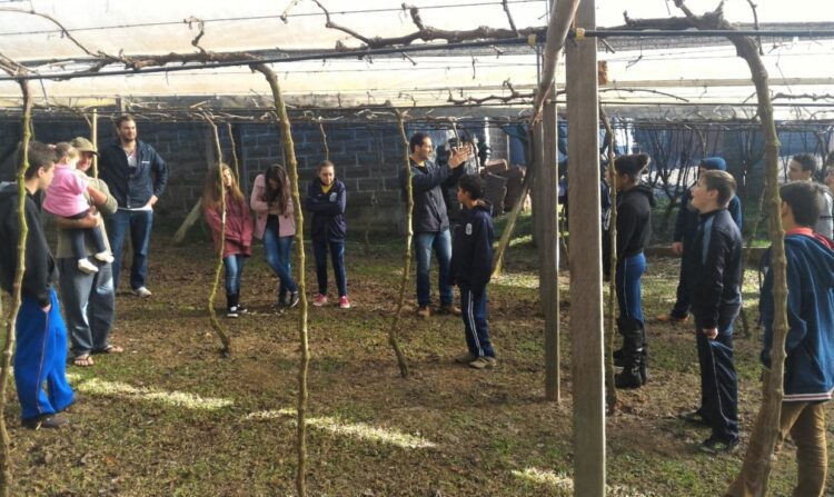 Alunos da Olavo Bilac visitam a Vinícola Paniz