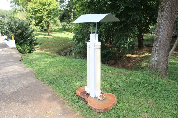 Equipamento com água e ração para cães é instalado pela prefeitura no Parque dos Dick