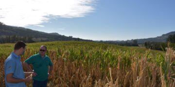 Estiagem: Decreto de emergência é reconhecido