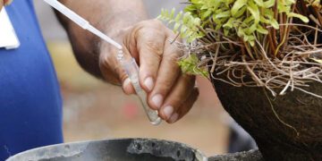 Agentes de Saúde focam na prevenção à dengue