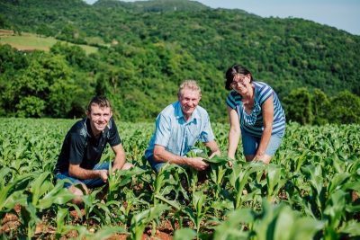 Família Kafer, de Arroio do Meio, planta milho silagem para a alimentação do gado leiteiro. Cultura é viabilizada com os recursos de custeio concedidos pelo Sicredi (Foto: Divulgação)