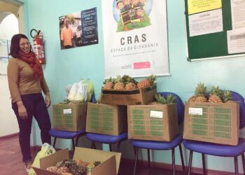Prefeitura de Lajeado apreende mercadorias de ambulantes irregulares e destina alimentos ao CRAS