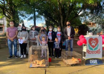 Feira de adoção é realizada no Dia Mundial dos Animais