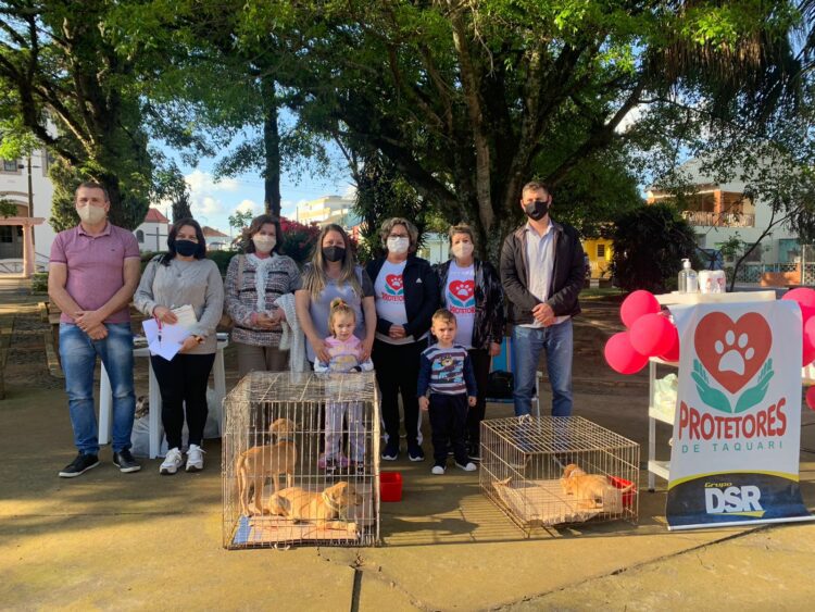 Feira de adoção é realizada no Dia Mundial dos Animais