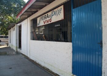 Feiras do Peixe de Estrela são mantidas, com restrições