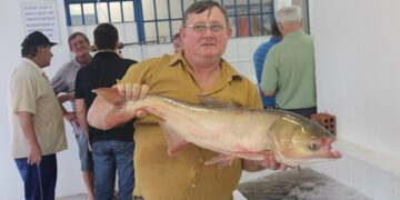 Feira do Peixe de Estrela fecha mês com saldo positivo